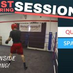 Emil the rabbit Alm first sparring sessions
