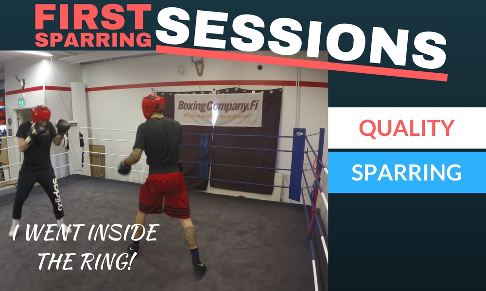 Emil the rabbit Alm first sparring sessions
